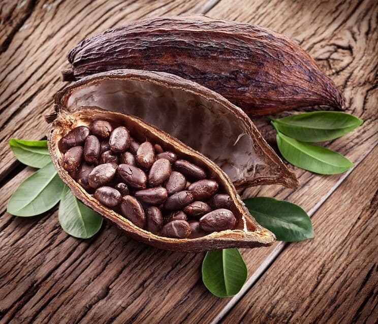 Cocoa Beans